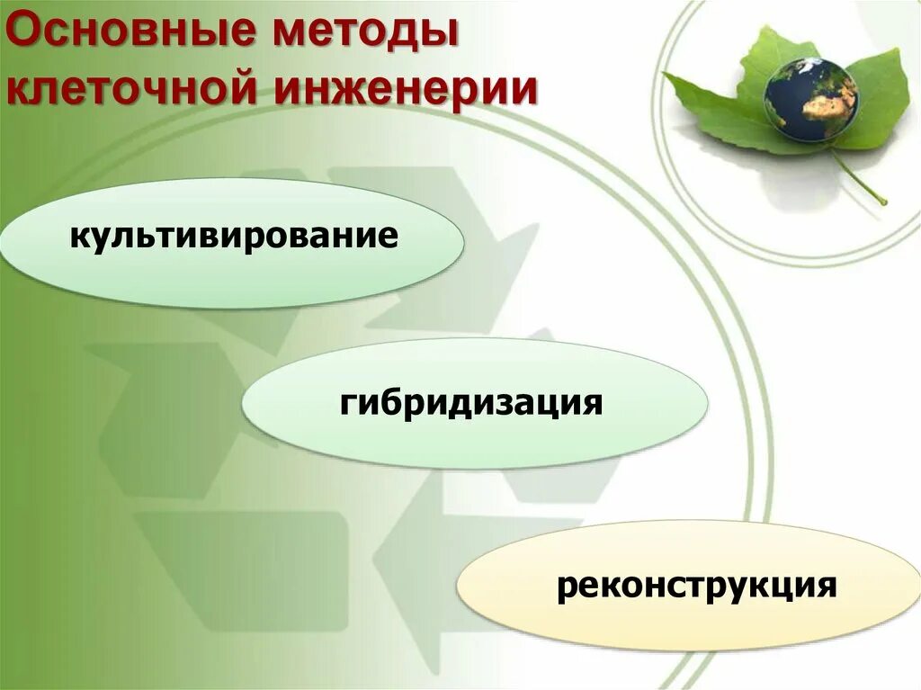 Реконструкция клеток методы. Основные методы клеточной инженерии. Методы клеточной инженерии в биотехнологии. Методы клеточной инженерии биология. Клеточная инженерия методы примеры.