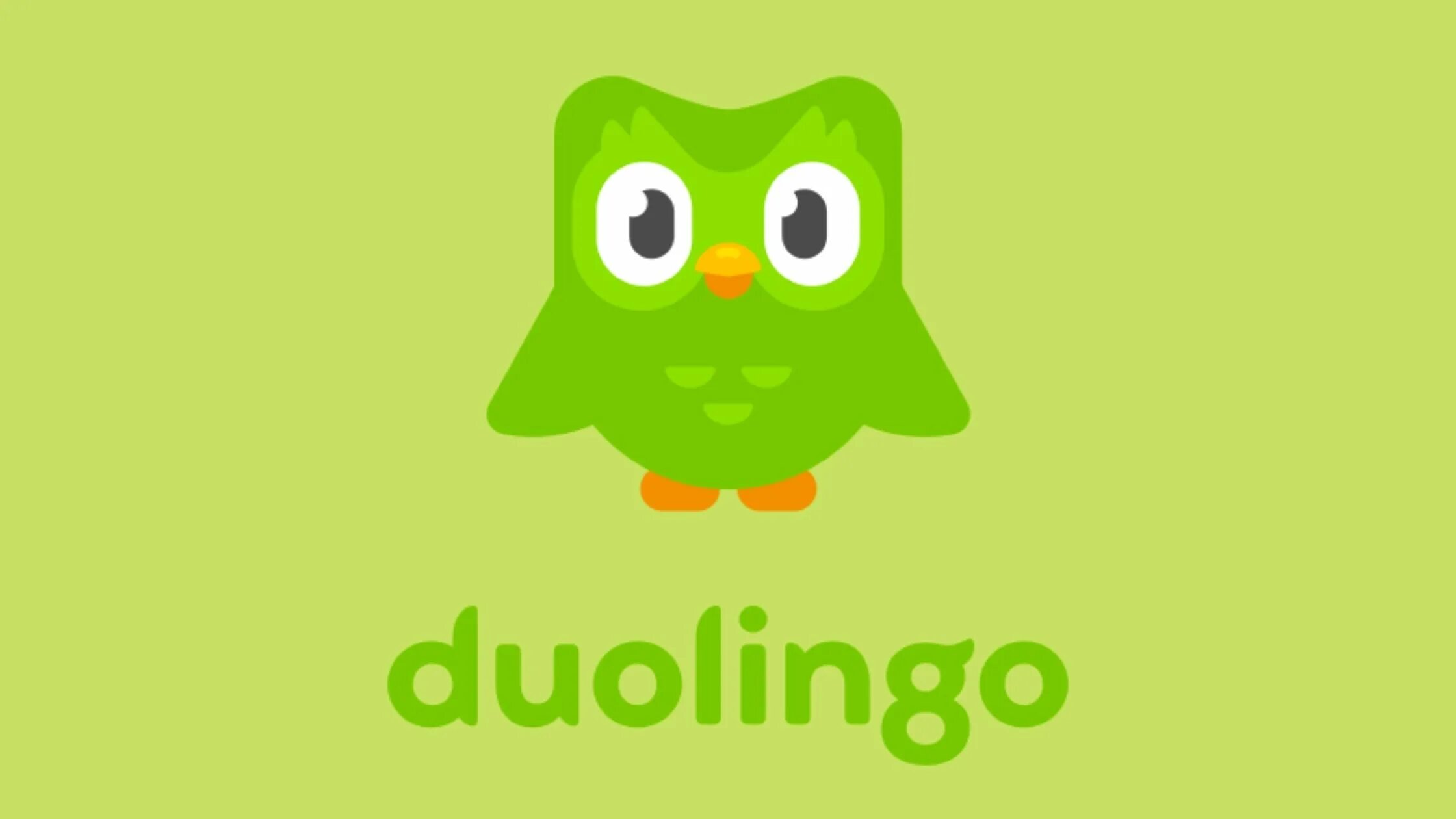 Логотип дуолинго. Долинго. duolingo. дуолинго английский. значок дуолинго.