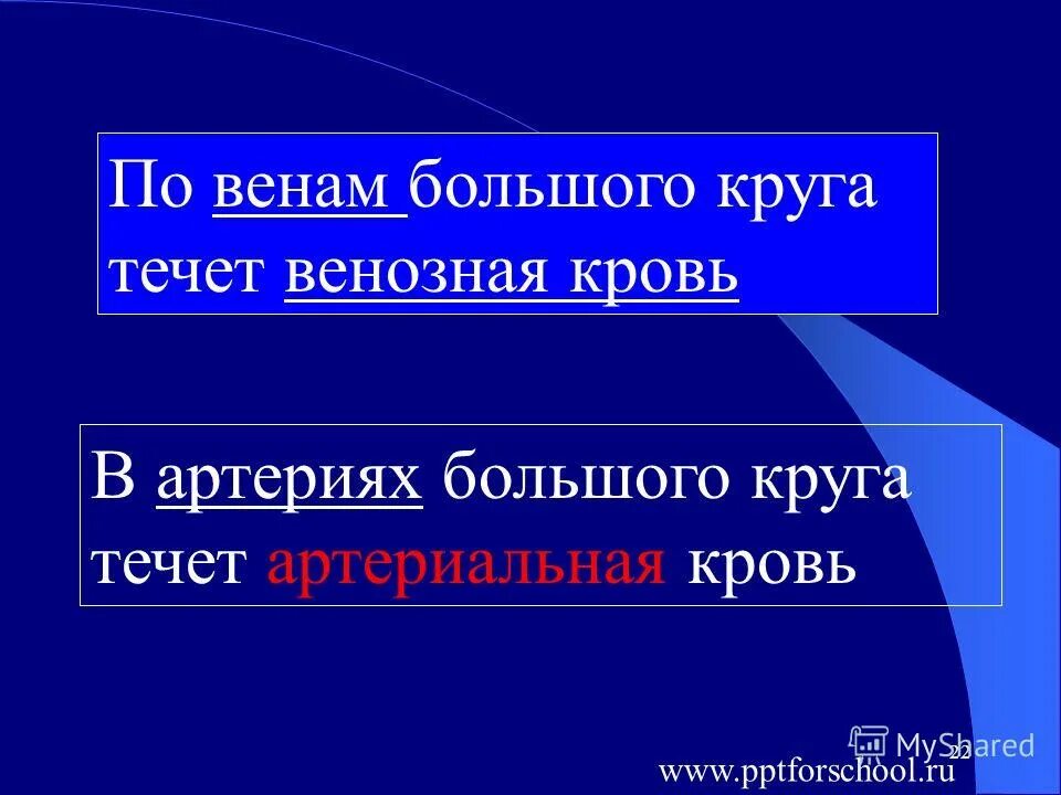 круги кровообращения артериальная и венозная кровь. система кровообращения схема. малый круг кровообращения венозная кровь. малого круга кровообращения у человека. куда течет венозная кровь.
