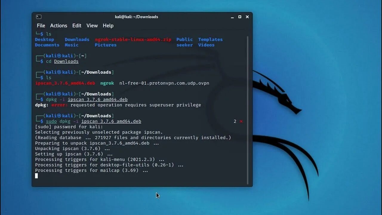 Кали линукс 2021. Как установить Deb файл kali Linux. Kali Linux e4005 Error. Сканер IPTV by Hacker.