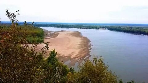 Берег оби