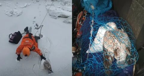 Наступившие внезапно холода сковали льдом речку