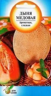 Дыня лакомка