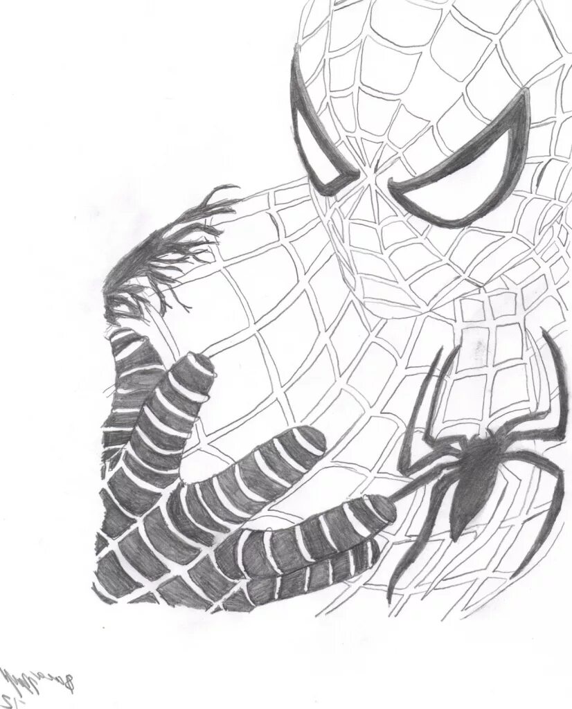 Человек паук для срисовки. Человек паук рисунок. Человек паук рисунок для срисовки. Человек паук рисунок карандашом.