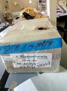 Упаков отзывы