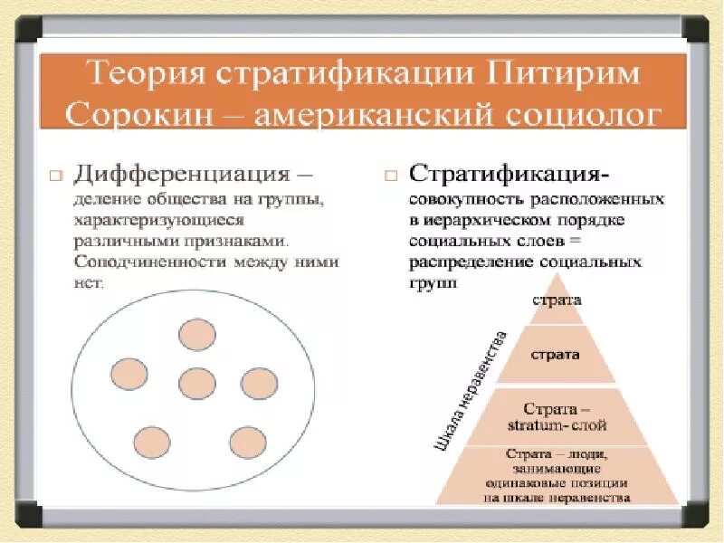 Одним из видов социальной дифференциации является. Стратификация общества п. сорокин. концепция социальной стратификации питирима сорокина. дифференциация и стратификация. социальная дифференциация и стратификация.