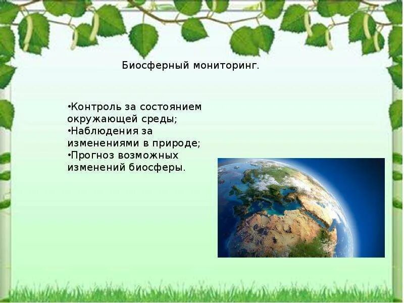 Информация о состоянии окружающей среды относится. Биосферный мониторинг. Мониторинг окружающей среды. Объекты биосферного мониторинга. Биосферный фоновый мониторинг.