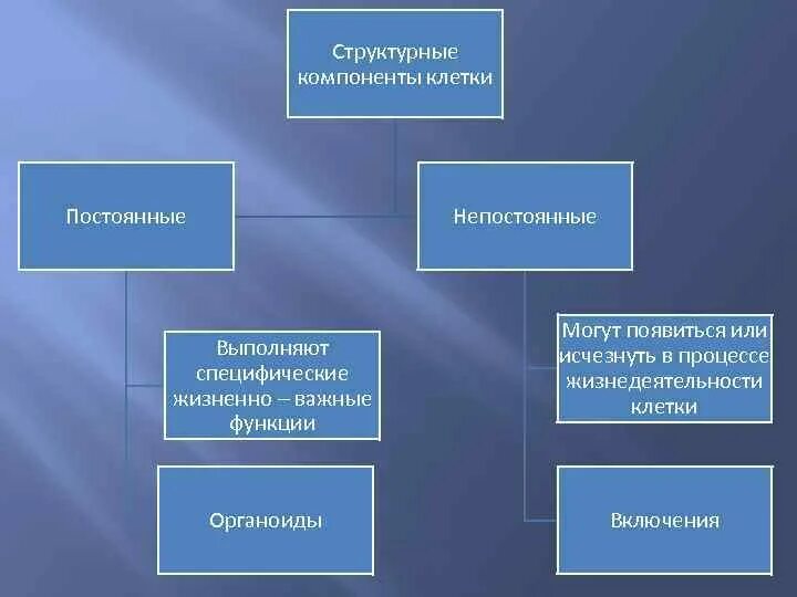 Функции составляющих клетки. Структурные компоненты клетки. Основные структурные компоненты клетки. Структурные компоненты клетки постоянные непостоянные. Постоянные структурные компоненты клетки.