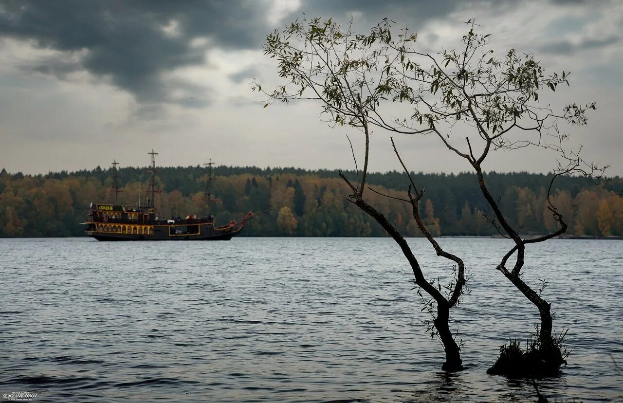 Пироговское водохранилище Мытищи. Бухта радости Клязьминское водохранилище. Березки Пироговское водохранилище. Пироговское водохранилище Малибу.