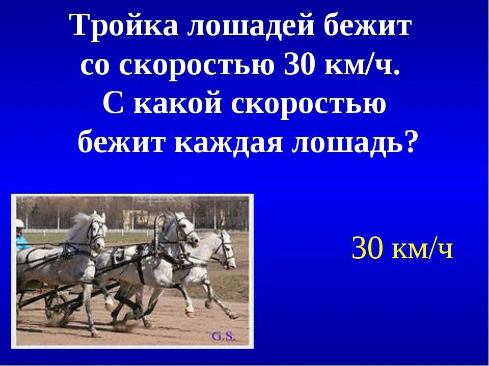 Скорость лошади в километрах в час. Максимальная скорость лошади. Скорость бега коня. Скорость бега лошади максимальная. С какой скоростью бежит лошадь.