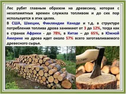 Пословица дрова