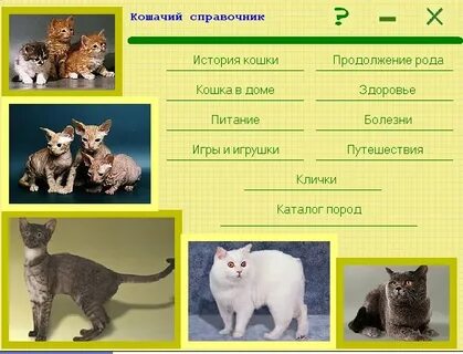 Узнать про кошек