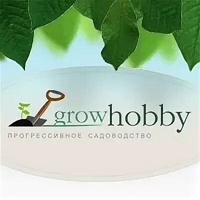 Grow hobby. Grow hobby