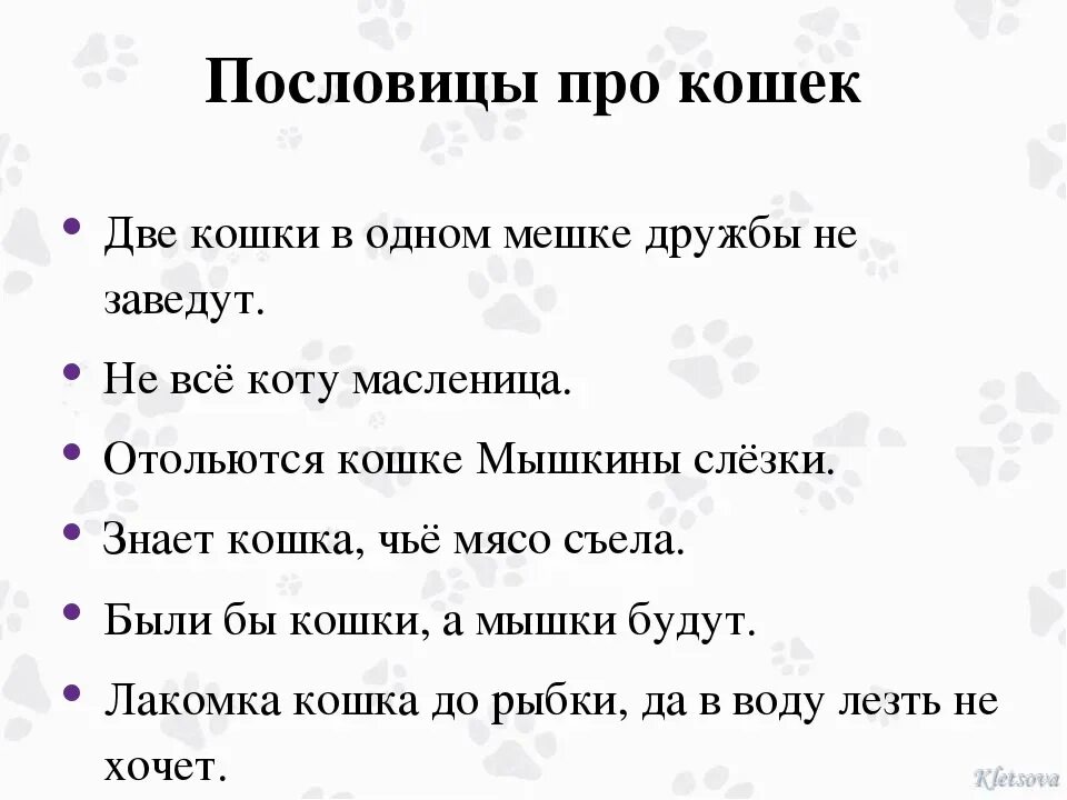 Поговорки про кошек. Пословицы о кошках. Пословицы про кота. Пословицы и поговорки о котах.