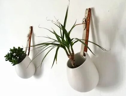 Hack plants