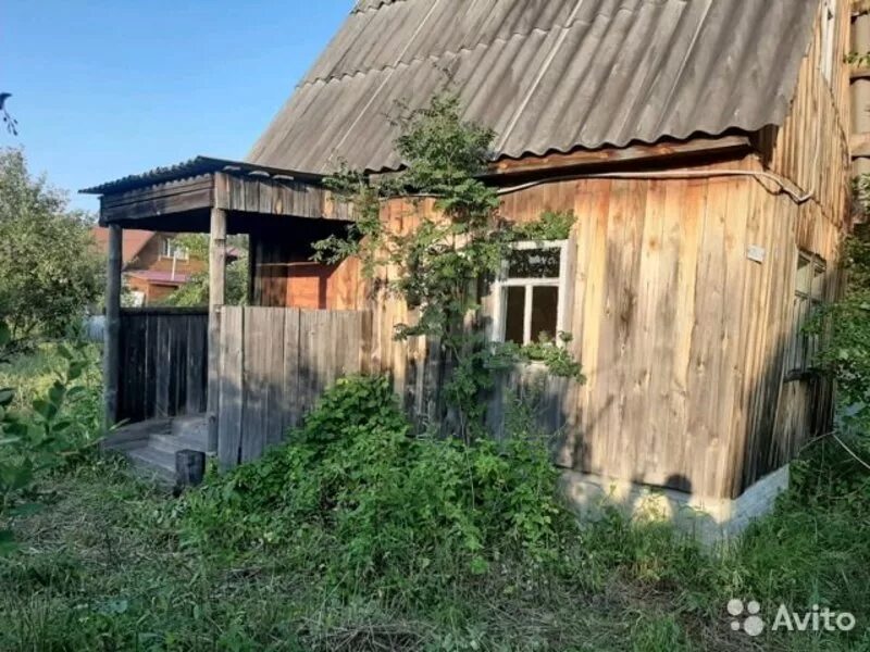 Купить дачу в кургане. Авито курган дачи. Авито курган дача ромашка плюс каталог. Авито курган дачи. Малиновка 8 курган.