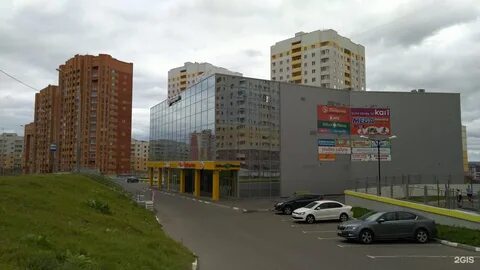 Детская нижняя дуброва