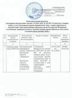 Контроль в сфере закупок аудит закупок