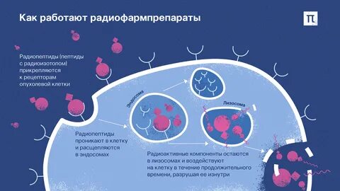 Препараты радиоактивных изотопов