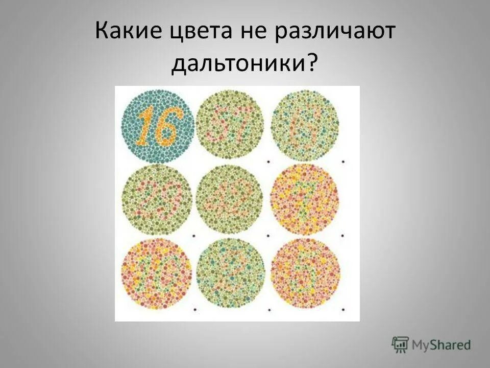 Не различает зеленый цвет. Дальтоники какие цвета не различают. Диагностика дальтонизма. Таблица для определения дальтонизма. Красно-зеленый дальтонизм.