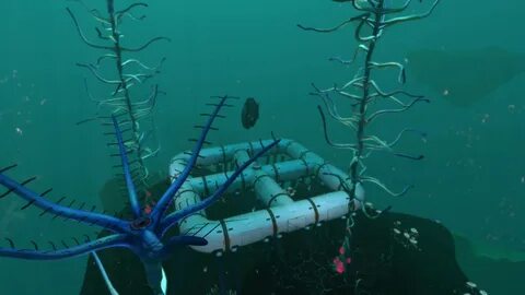 Subnautica коралл