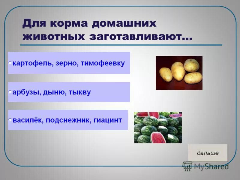 тест по окружающему миру животноводство нашего края. животноводство 3 класс презент. что дает животноводство людям. тест по окружающему миру животноводство. тест животноводство.