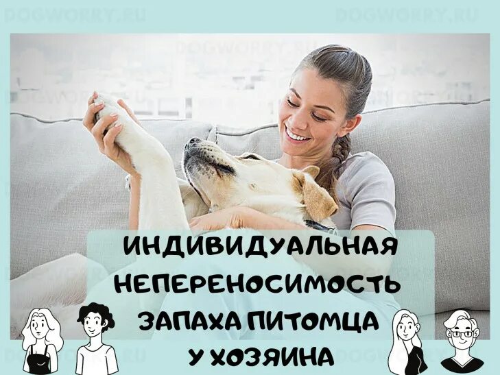 Запах собаки. Почему собаки пахнут псиной как избавиться. В шерсти собаки воняет тухлятиной. Неприятный запах от собаки