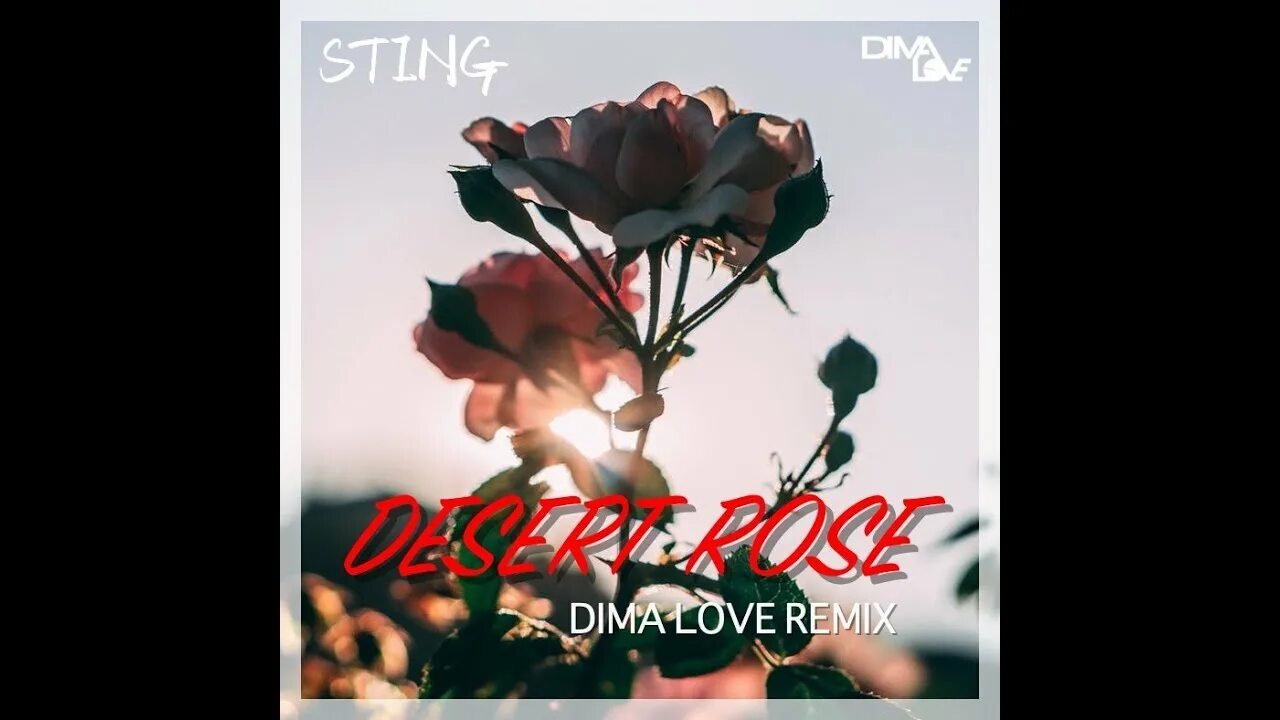 Sting Desert Rose. Sting - Desert Rose (Sabo & Goldcap Desert Sunrise 2020 Remix). Sting Desert Rose Remix. Пустыня стинг роз ремикс. Rose mp3 remix