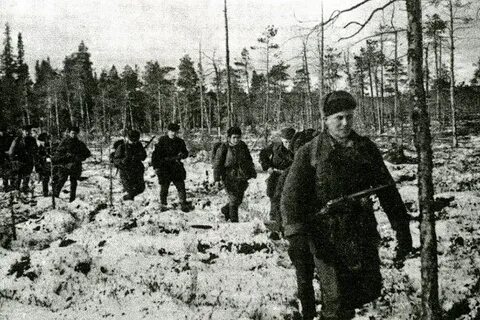Первая партизанка