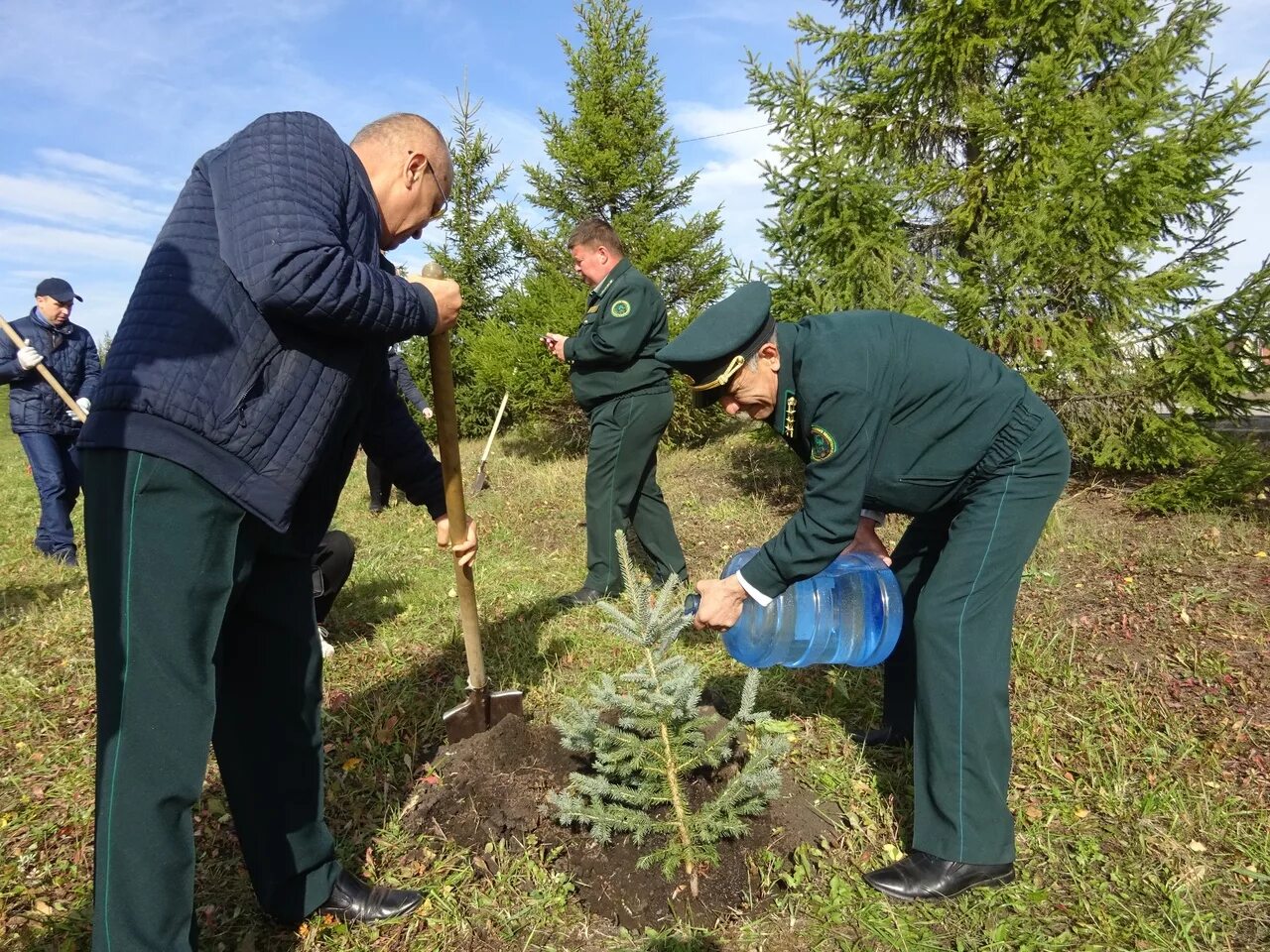 Посади дерево область