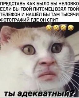 Их там тысячи