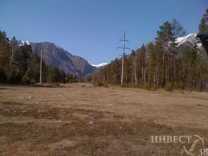 Аршан на месяц