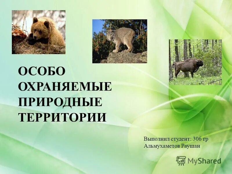 Охраняемые природные территории и растения. Сообщение на тему охраняемых природных территорий. Охраняемые природные территории и растения. Оопт россии презентация. Особо охраняемые территории презентация.