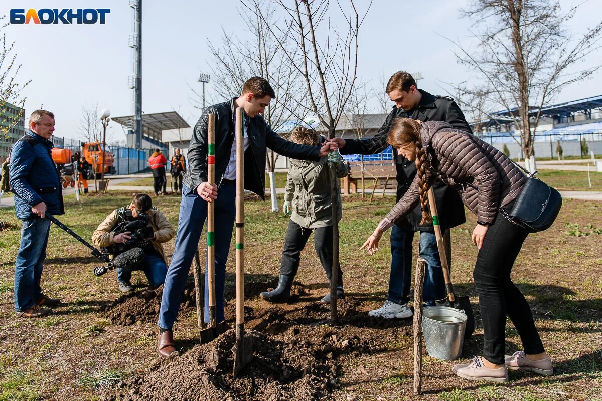 Таганрогский блокнот. Жители таганрога. Новости таганрога на сегодня блокнот. Новости таганрога на сегодня блокнот. Новости таганрога сегодня.