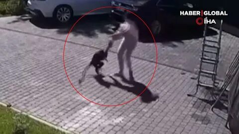 Укусила обезьяна