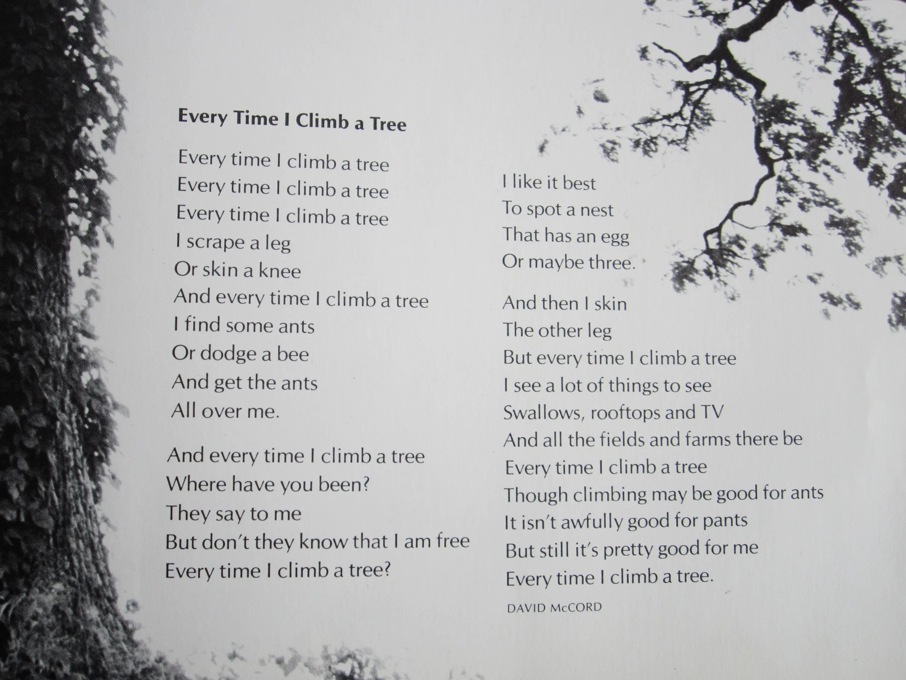 Where every time. Wh-questions в английском языке. Mixed past tenses упражнения. Every time i climb a tree by. Time will wait.