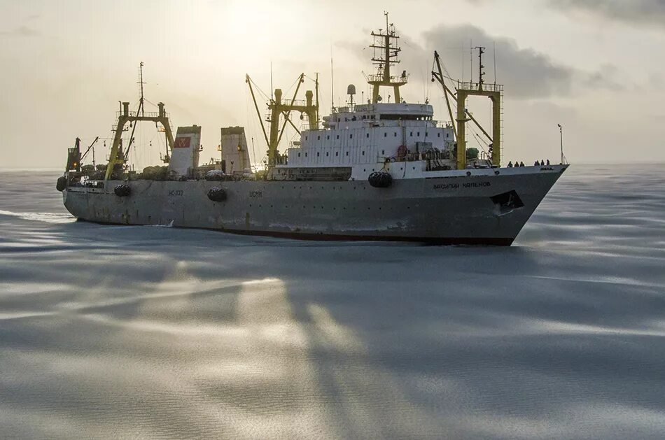 БМРТ большой морозильный рыболовный траулер. Рыболовецкий траулер БМРТ. Траулер (БМРТ) "Капитан Болсуновский. БАТМ типа "Пулковский Меридиан" (проект 1288). Морозильный траулер