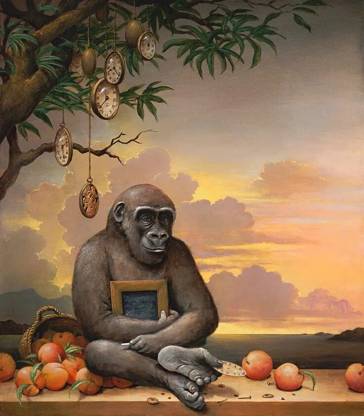 Kevin the monkeys