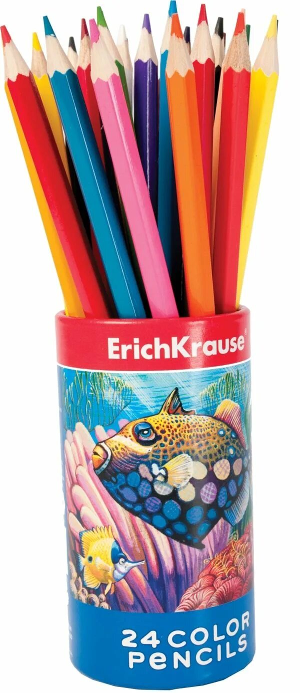 Цветные карандаши Эрих Краузе. Карандаши Erich Krause 24цв. Эрих Краузе карандаши цветные 24. Цветные карандаши Erich Krause 24 цвета.