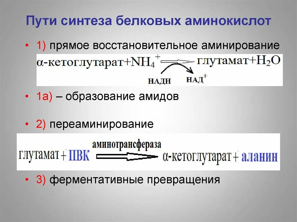 Синтезе белков принимают участие. Прямое восстановительное аминирование. Восстановительное аминирование аминокислот. Пути синтеза аминокислот. Синтез белка аминокислоты.