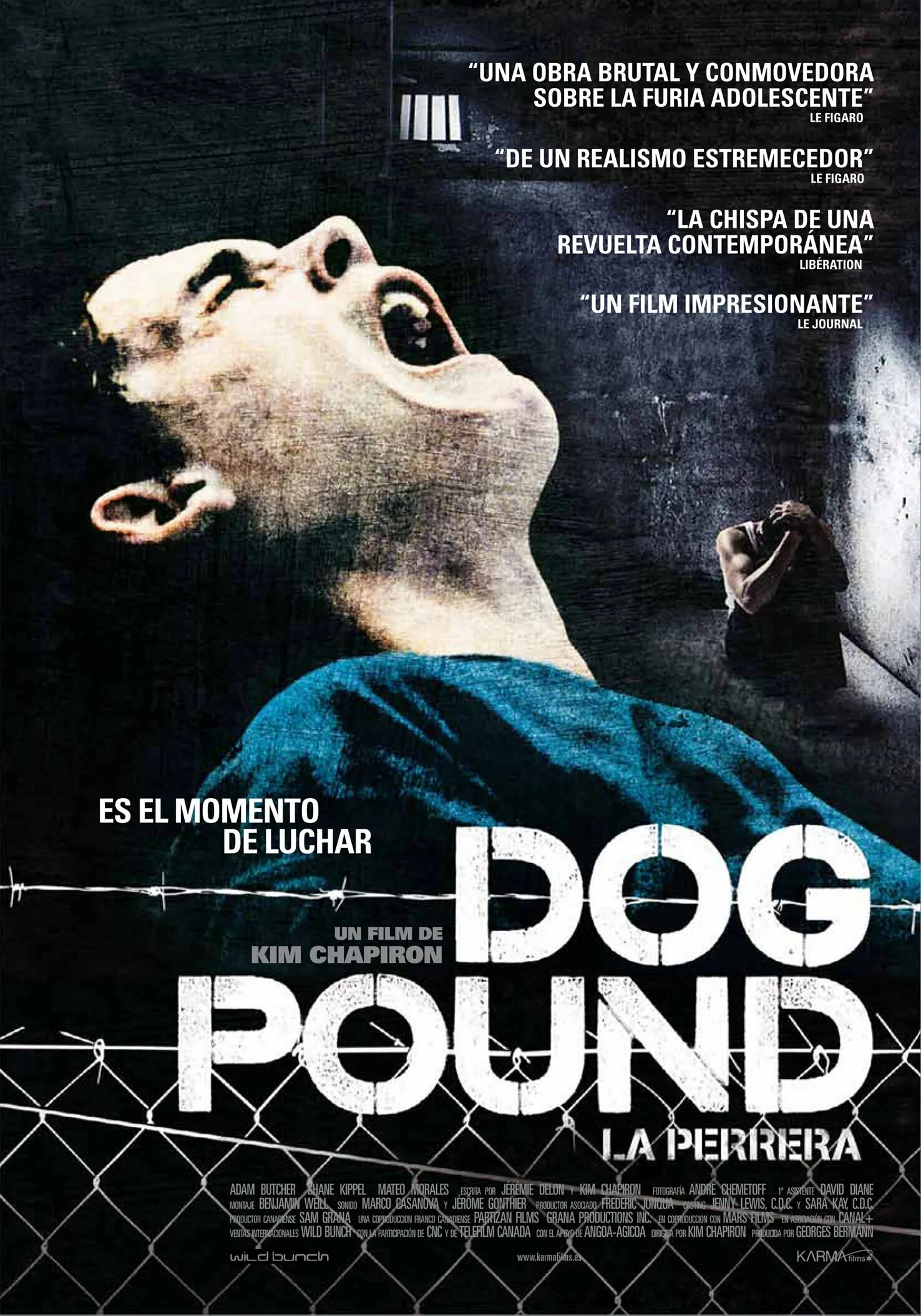 Doggy pound. Dog pound. Dog pound. Th dog pound dpgc. Doggy pound.