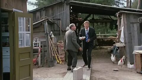 Любовь и голуби в баре