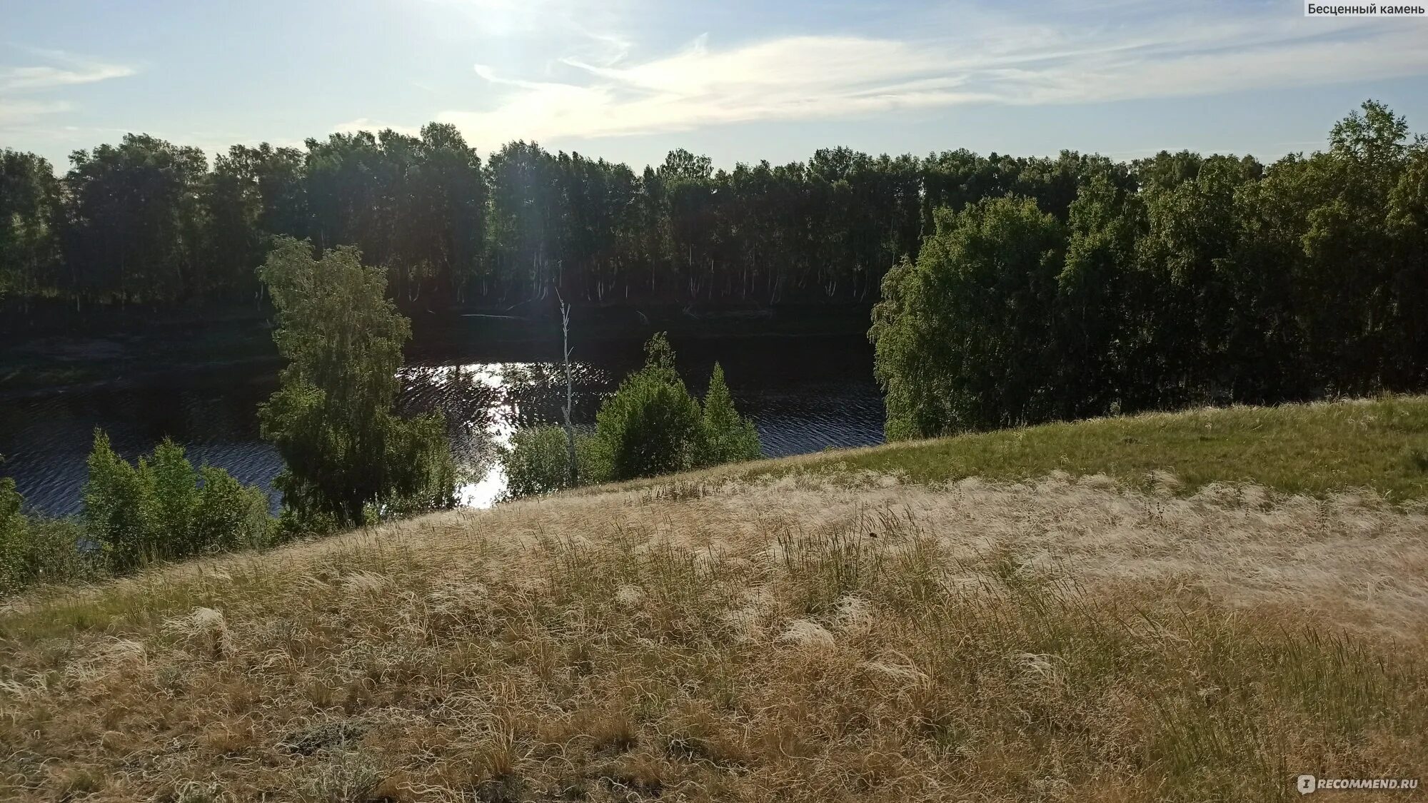 Амринская балка. Амринская балка рыбалка омск. Амринская балка. Омская обл москаленский амринская балка. Амринская балка омская область фауна.