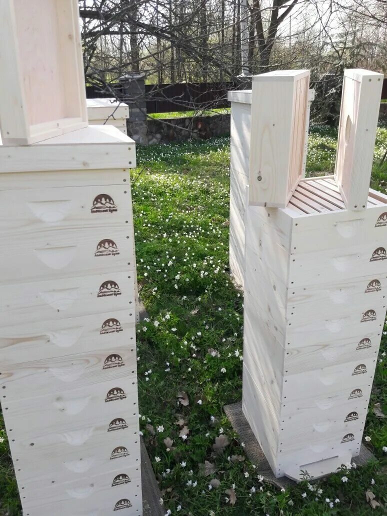 Альпийский улей. Масло для ульев. Альпийский улей. Улей роже делона размеры. Ульи альпийский дадан.