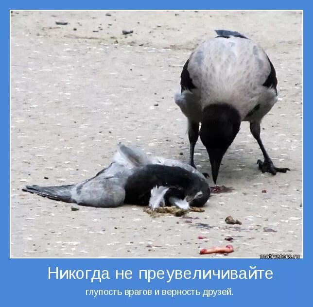 Никогда не видели друг друга