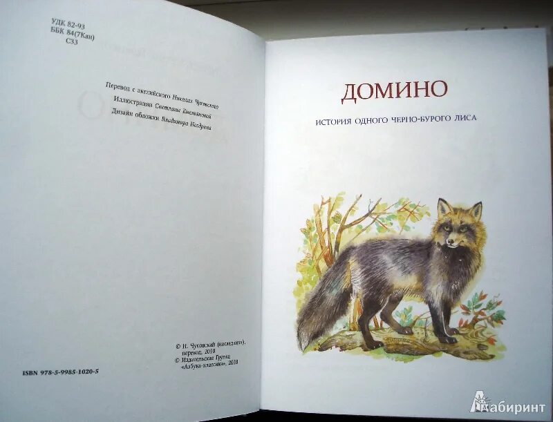 Девушка в коже с плетью. Миранда кей доминатрикс. Рассказ домин. Чайна леди доминатрикс. Описание игры домино.