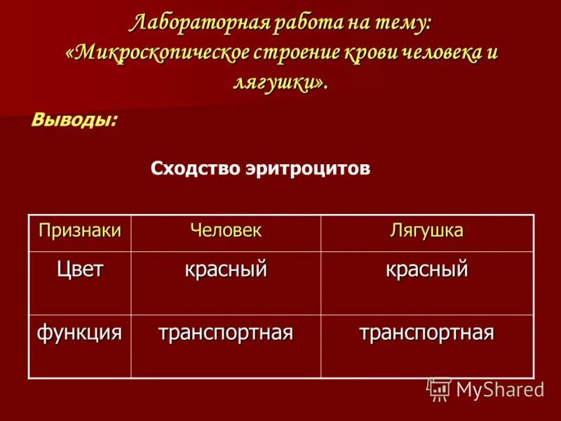 Лабораторная работа сравнение крови лягушки и человека