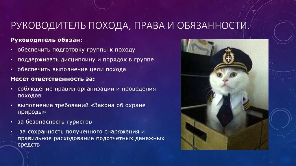 Глава обладает полномочиями