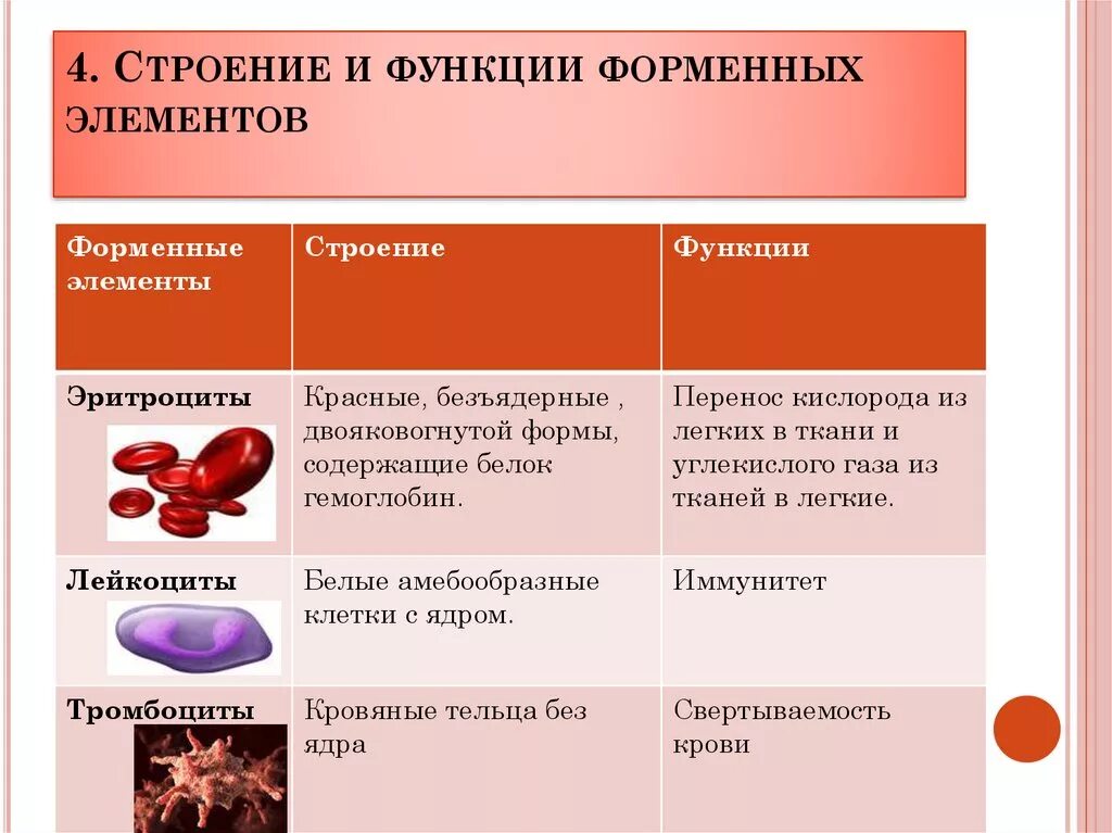 Функции клеток крови таблица. Особенности строения и функции клеток крови. Состав крови клетки крови их строение функции. Строение крови 8 класс биология. Строение и функции элементов крови.