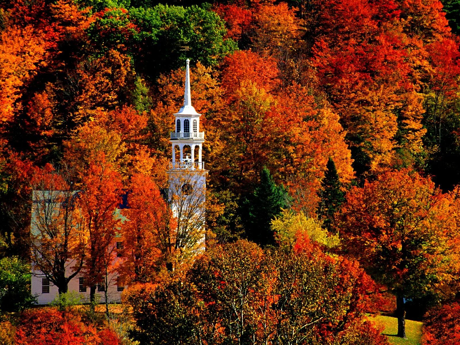 Осень фото красивые. Штат Вермонт природа. Вермонт и Вайоминг осень. Пейзажи штата Вермонт. Парк в Вермонте.
